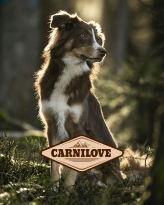Carnilove