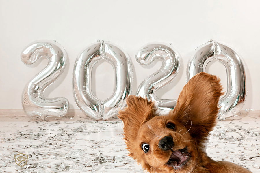 voornemen voor 2020