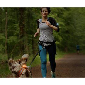 dogline orbiloc k9 active veiligheidslamp lopen met hond