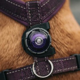Dogline Orbiloc Clip op harnas paars detail