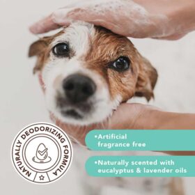 Dogline Natural Dog Company Itchy dog shampoo voor je hond natuurlijke ingredienten