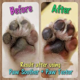 Dogline Natural Dog Company Paw Soother Travel Stick voor je hond Voorbeeld
