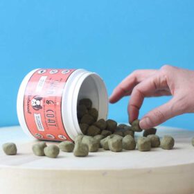 Dogline Natural Dog Company Skin and Coat supplement voor je hond verpakking