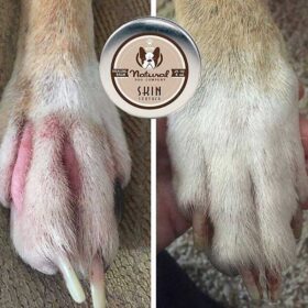 Dogline Natural Dog Company Skin Soother voor je hond voorbeeld poot irritatie